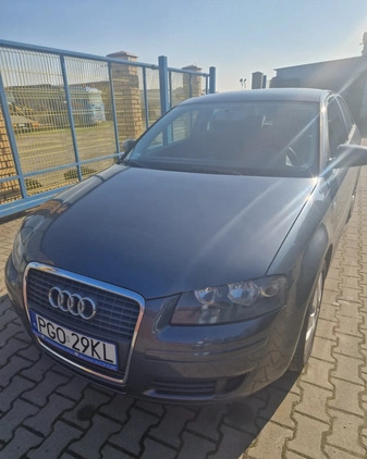 Audi A3 cena 16500 przebieg: 250000, rok produkcji 2007 z Olesno małe 22